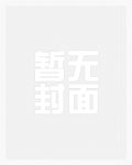 大宋狼烟